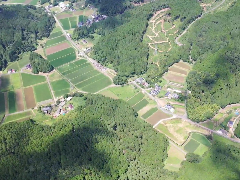 ひた農園のご紹介