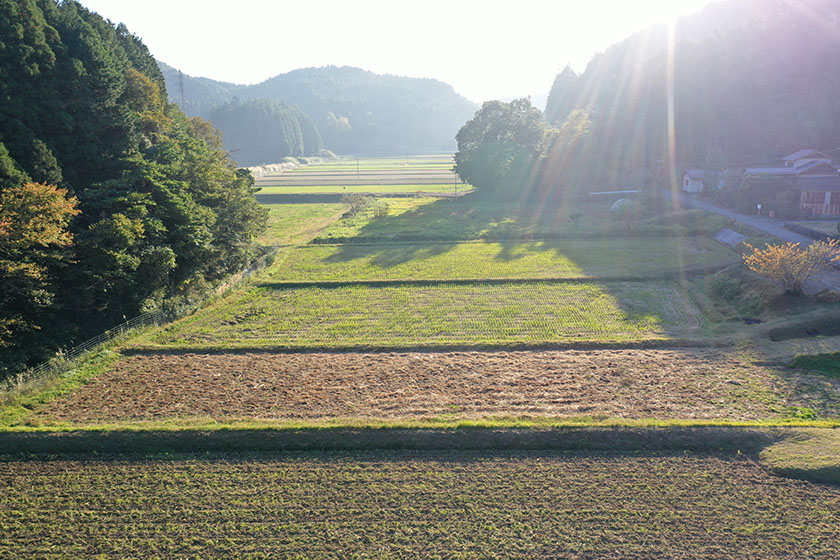 自分が安心して毎日食べれるお米だけを取り扱っています